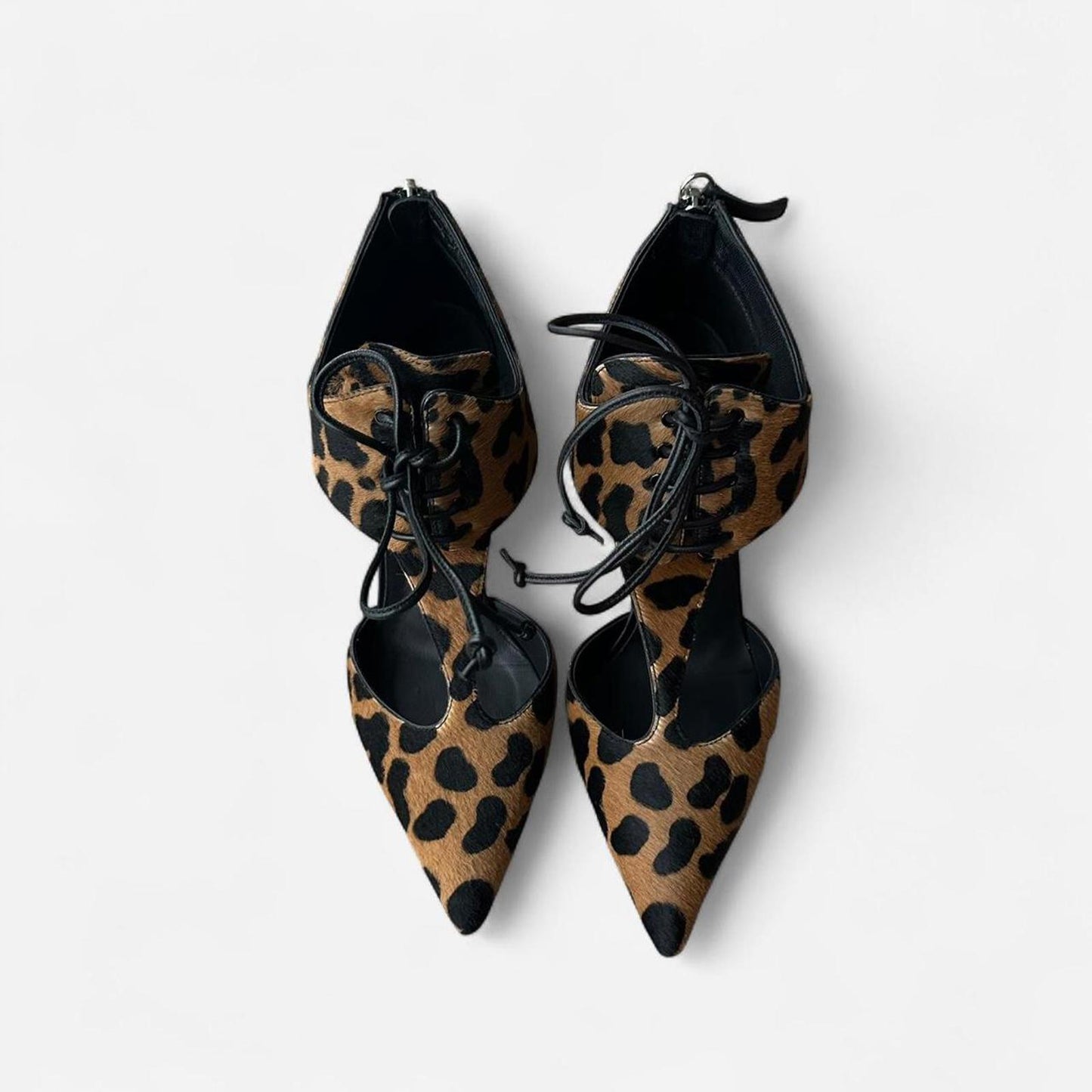 Giuseppe Zanotti