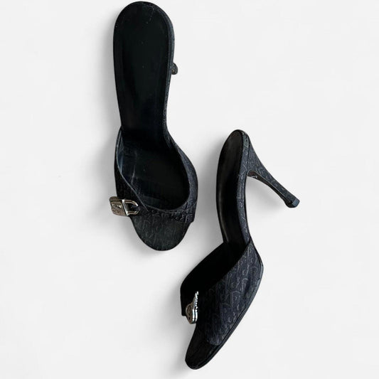 Christian Dior